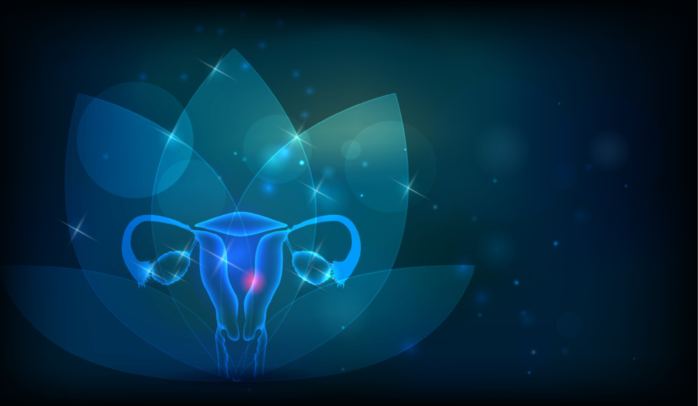 Graphic of a female reproductive system and a lotus flower