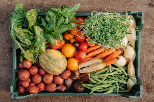 A plastic container with fresh produce inside.