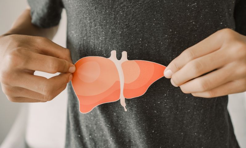 A person holds up a drawing of a human liver, for medical purposes.