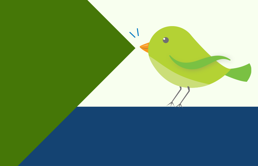 Graphic showing a bright green bird chirping out a message.